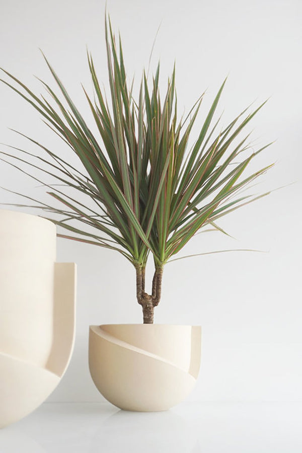 Planters & Vases
