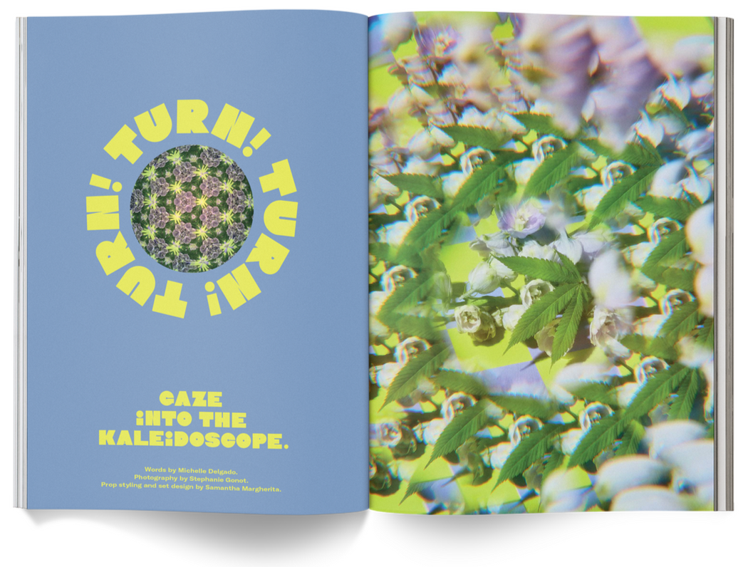 Broccoli: Issue 14