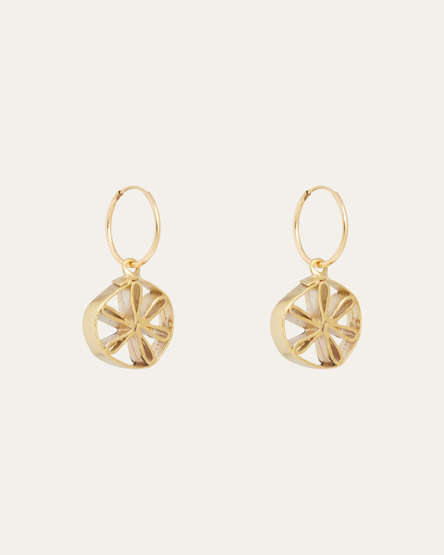 Citrus Hoops