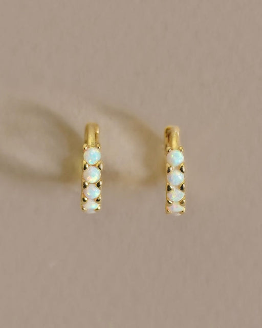Kasai Hoops