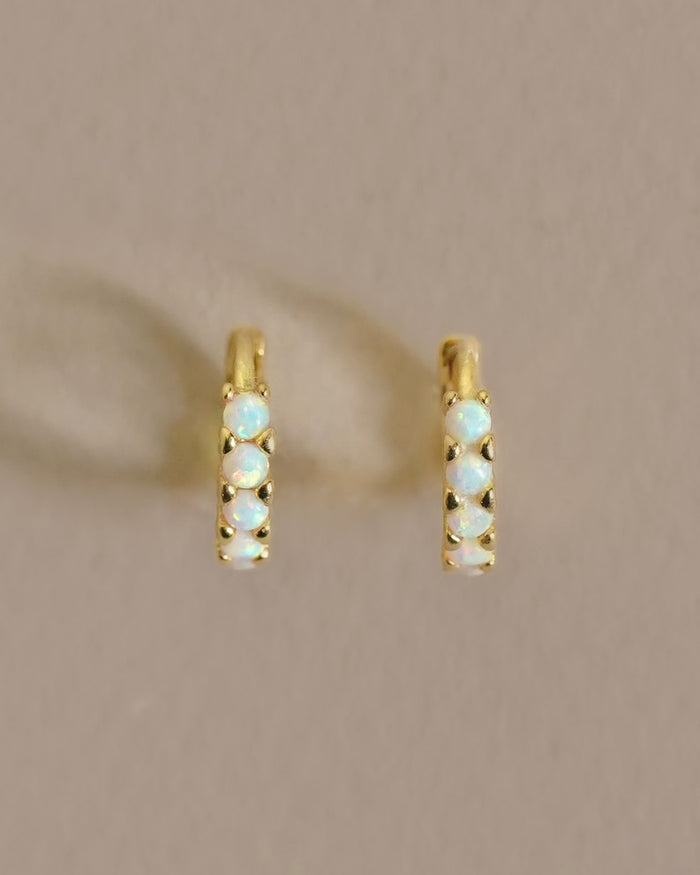 Kasai Hoops