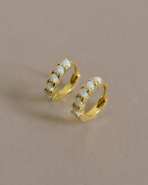 Kasai Hoops