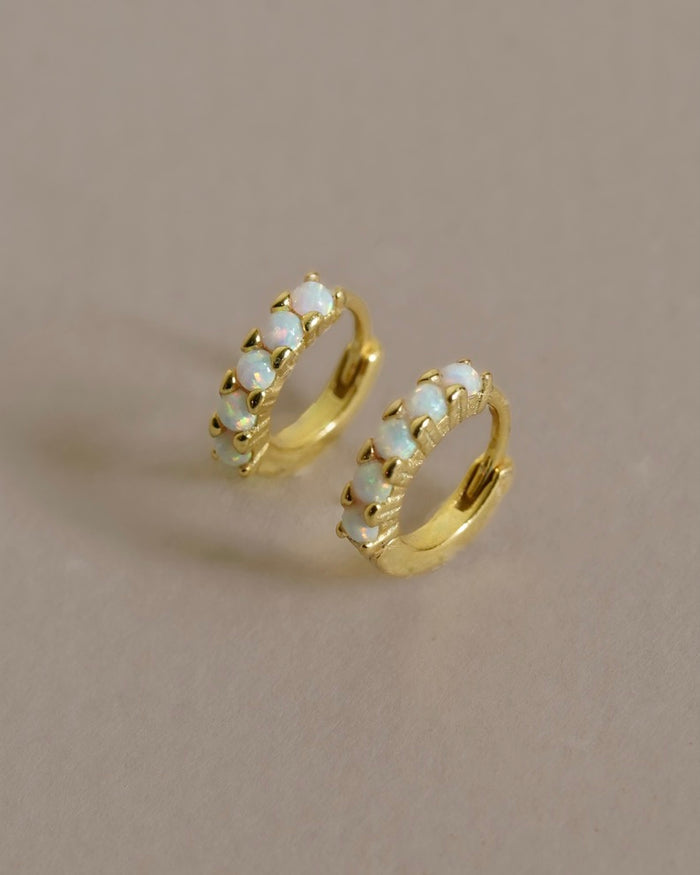 Kasai Hoops