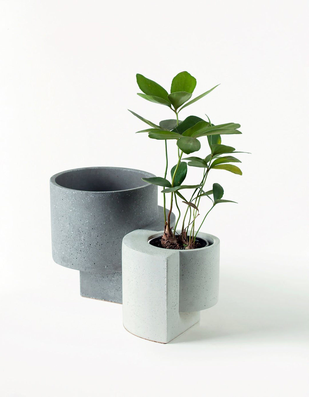 Medium Platform Planter in Graphite