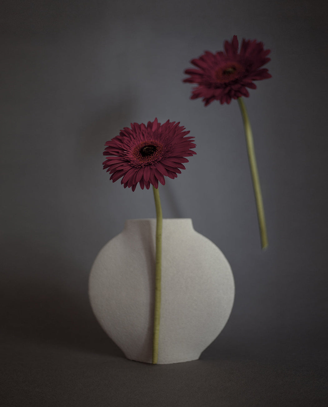 Petite Lune Vase in Blanc