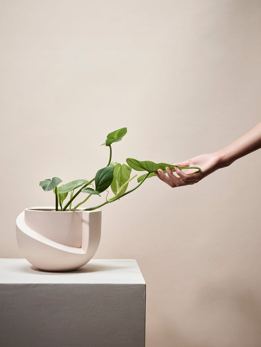 Vayu Planter in Blush