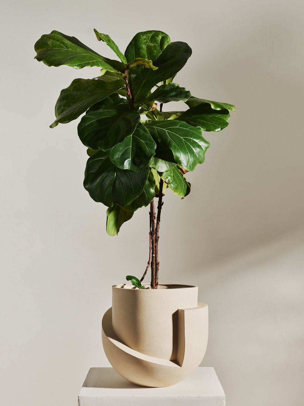 Vayu Floor Planter