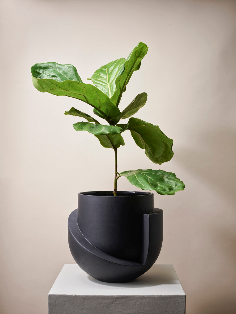 Vayu Floor Planter