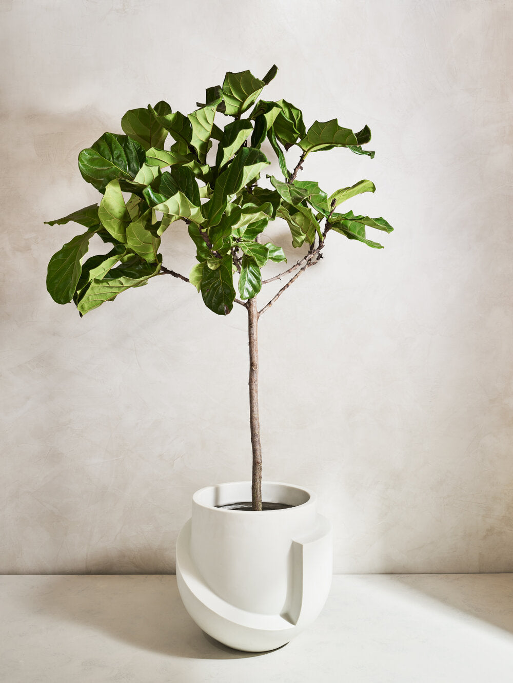 XL Vayu Planter in Marble