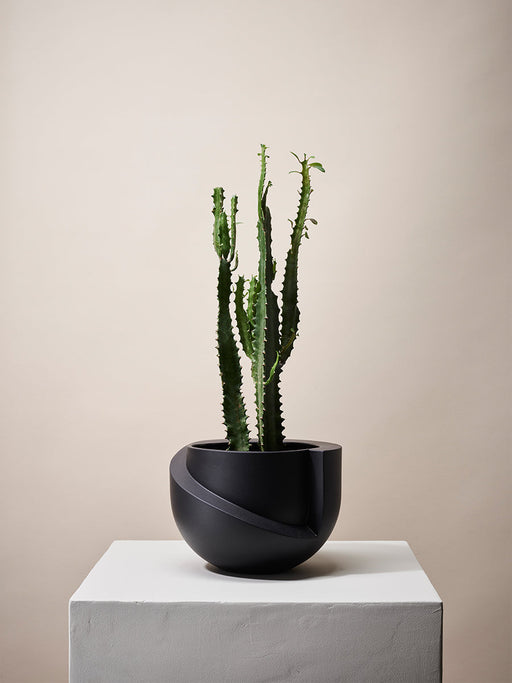 Vayu Planter in Coal