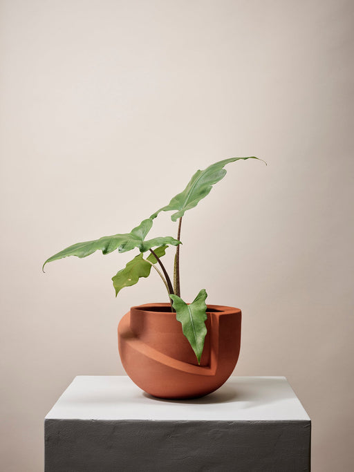 Vayu Planter in Terracotta