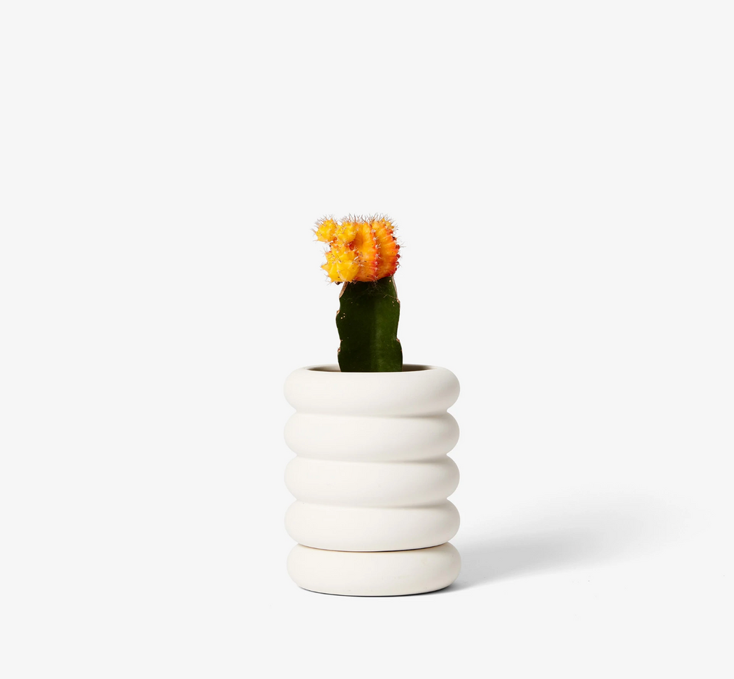 Stacking Mini Planter - Tall