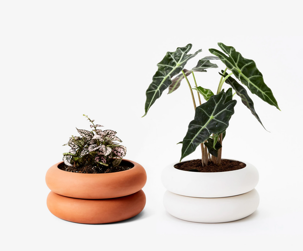 Stacking Planter - Short