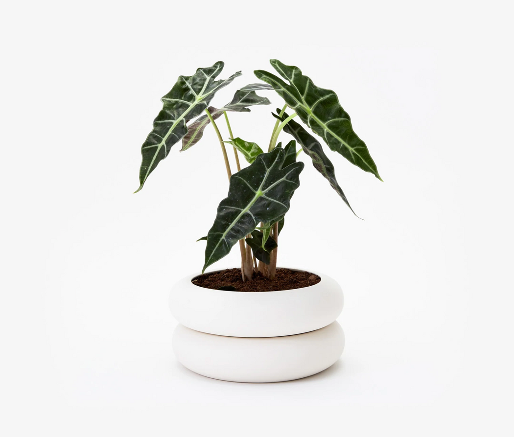 Stacking Planter - Short