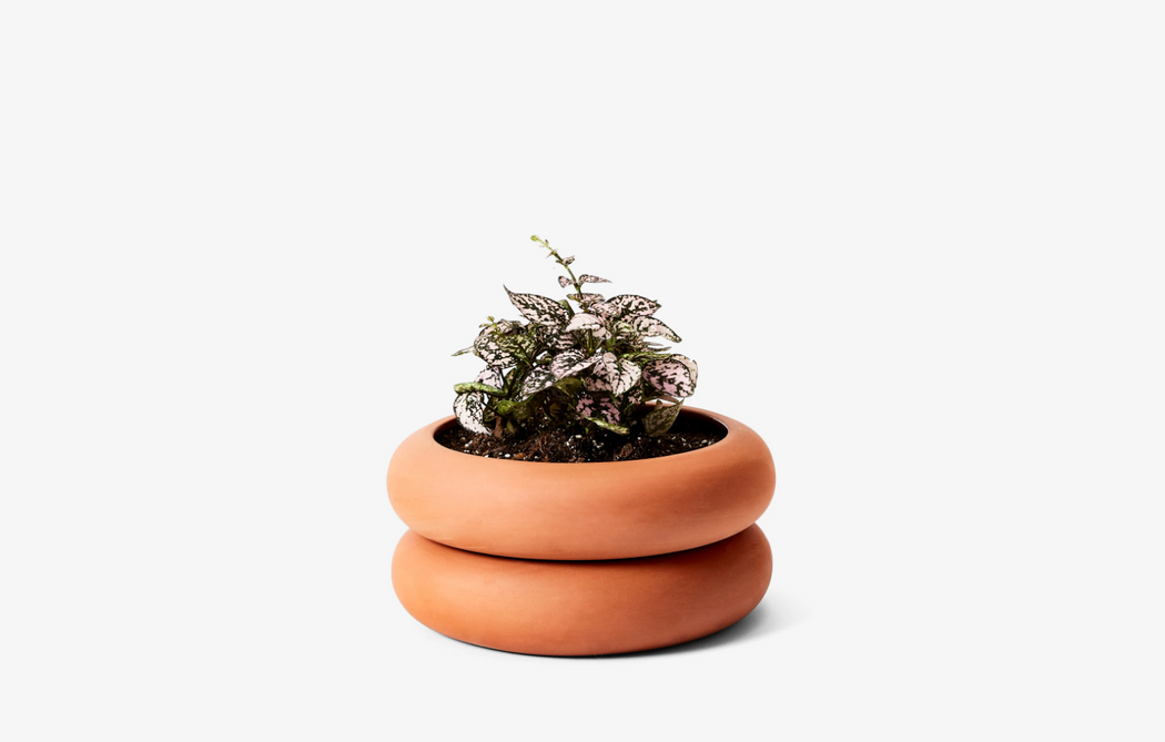 Stacking Planter - Short