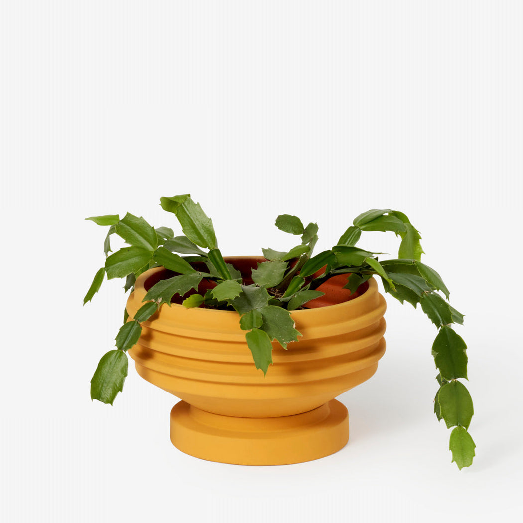 Strata Planter in Yellow