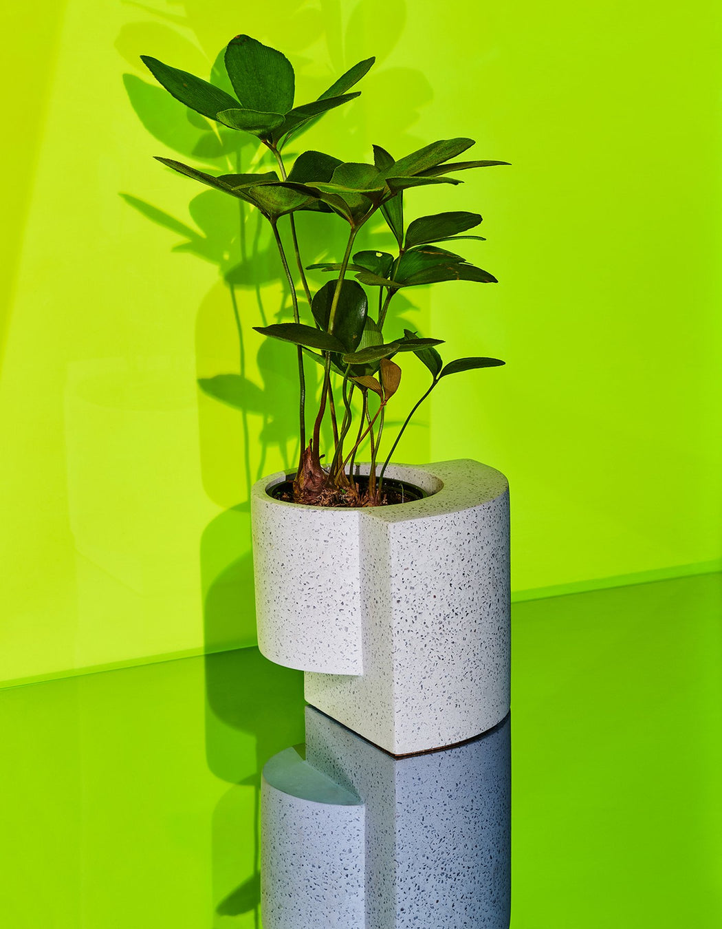 Small Platform Planter in White