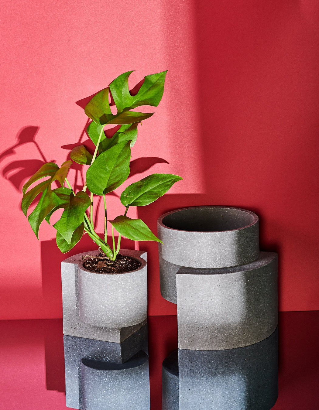 Small Platform Planter in Graphite