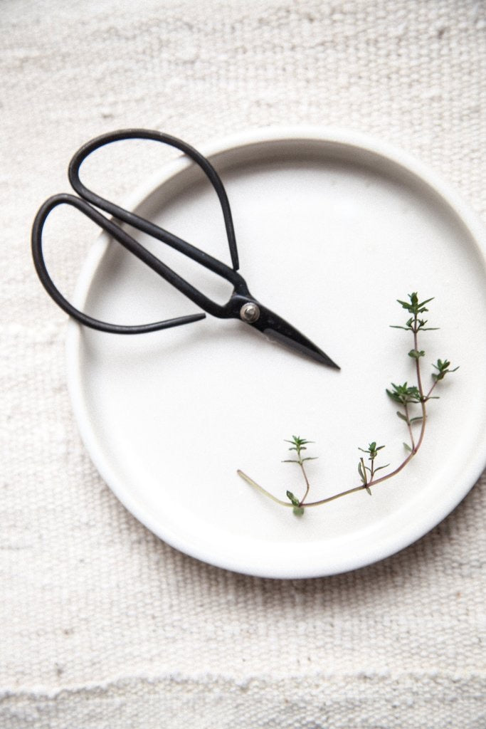 Olive Dish