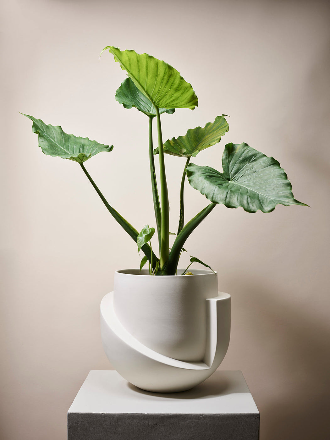 Vayu Floor Planter