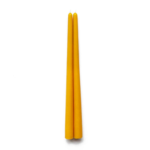 Beeswax Tapers 12"